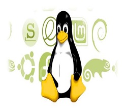 五个Linux简单命令帮你解决系统性能问题-服务器租用-宇众网络